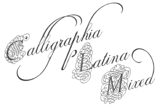 Calligraphia Latina Mixed for Elegant Web Typography