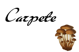 Carpete Font for Eye-Catching Display Typography