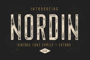 Nordin Family: A Striking Display Font for Creative Makers