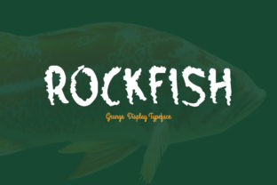 Rockfish: A Display Font That Elevates Your Brand Identity