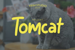 Tomcat Font for Creative and Commercial Projects