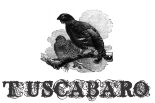 Tuscabaro Font for a Polished Brand Look